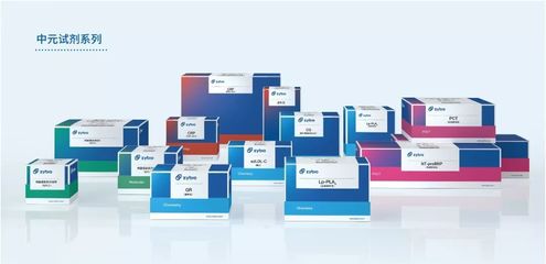 探秘體外診斷科技 大渡口生物醫藥企業的高技術服務版圖